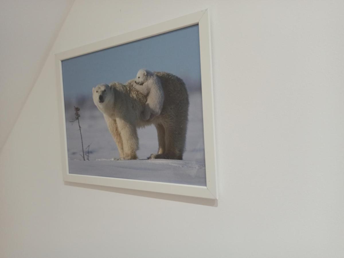 A 4 Min Du Zoo De Beauval La Maison A Partager Ch4 2Eme Etage Saint-Aignan  Eksteriør billede