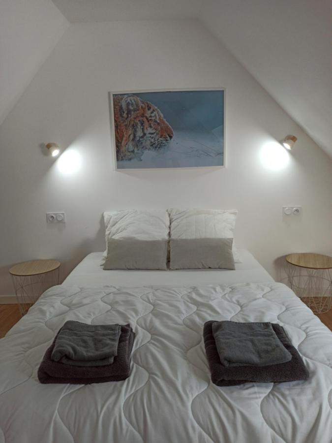 A 4 Min Du Zoo De Beauval La Maison A Partager Ch4 2Eme Etage Saint-Aignan  Eksteriør billede